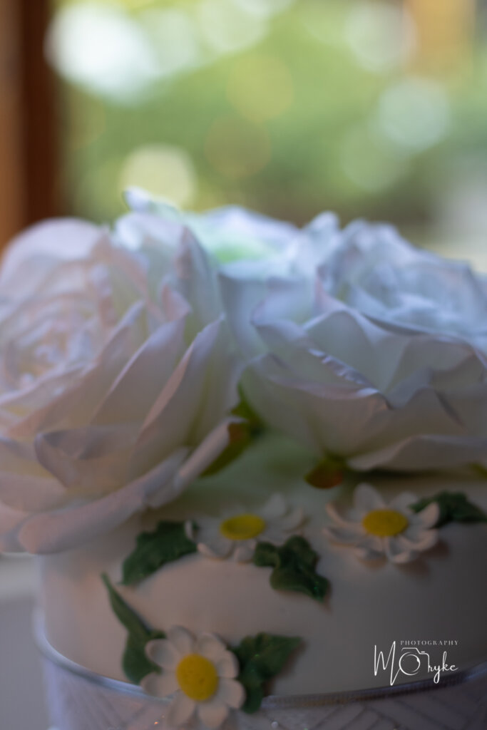 Elopement Photography Potchefstroom - Anderland Wedding Venue 107 Elopement Photography and Entertainment Packages Klerksdorp ()