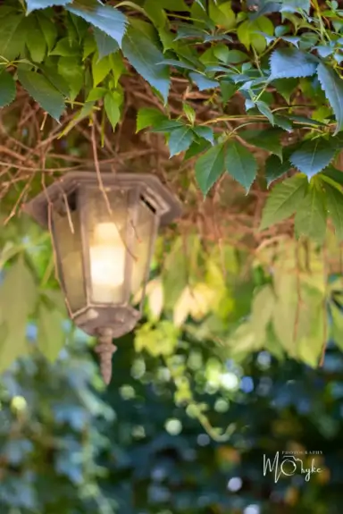 Affordable Photography and Entertainment in Klerksdorp 2 Elopement Photography and Entertainment Packages Klerksdorp x