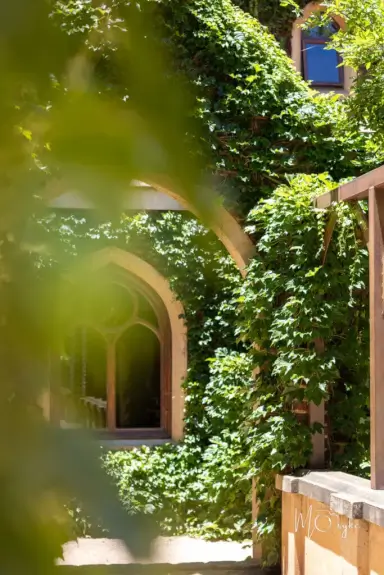 Affordable Photography and Entertainment in Klerksdorp 4 Elopement Photography and Entertainment Packages Klerksdorp x